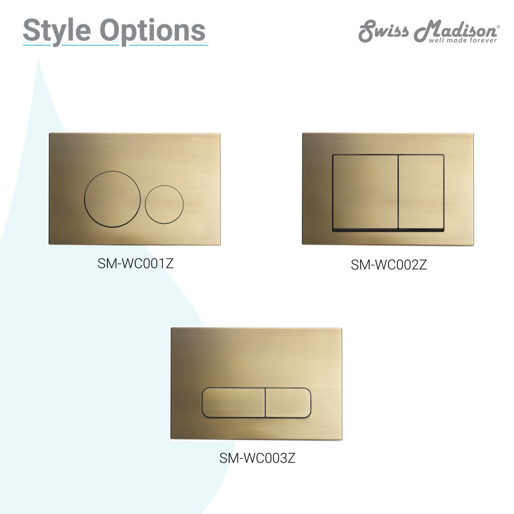 Carre Wall Mount Dual Flush Actuator Plate with Rectangle Push Buttons in Brushed Brass