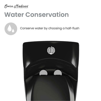 Chateau One-Piece Elongated Toilet Dual-Flush in Glossy Black 1.1/1.6 gpf