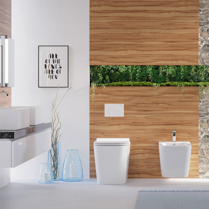 Concorde Back-to-Wall Toilet Bundle 0.8/1.6 GPF Dual Flush in Glossy White with White Flush Plate