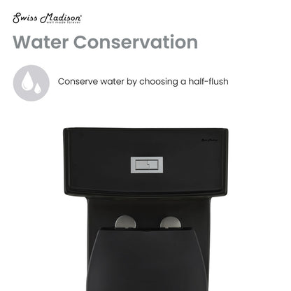 Elongated one-piece toilet in matte black, dual-flush, soft-close seat, modern design.