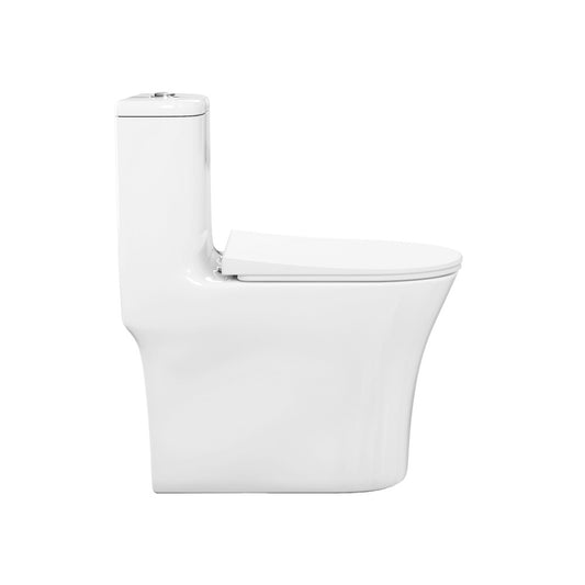Cascade One-Piece 12" Rough-in 1.1/1.6 GPF Single Vortex Dual Flush Compact Toilet in Glossy White