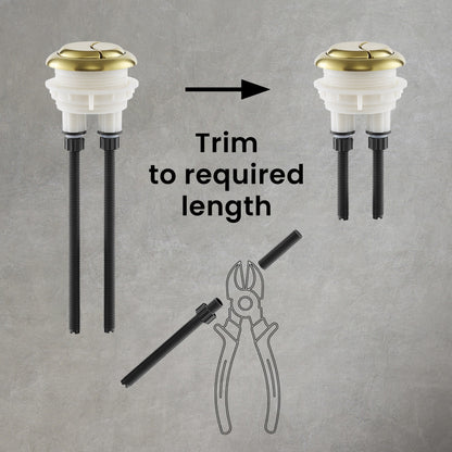 Toilet Hardware Brushed Gold (SM-1T256, SM-1T205)