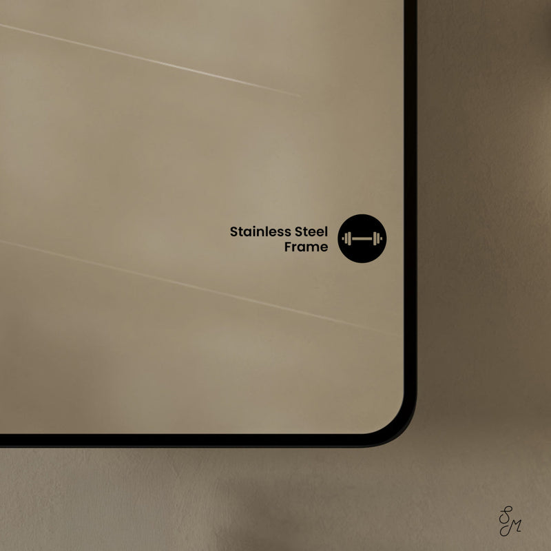 Pierre 20 x 30 Rectangle Recessed/Wall Mount Medicine Cabinet with Mirror in Matte Black