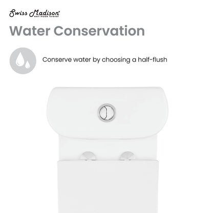 Elongated one-piece toilet with dual flush button, white ceramic, 10-inch rough-in design.
