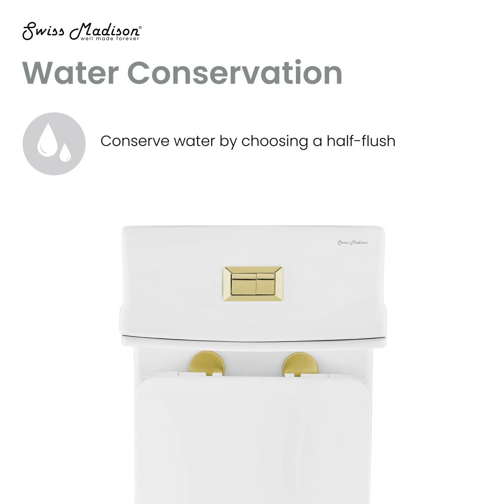 Elongated one-piece toilet, dual flush, brushed gold hardware, 1.1/1.6 gpf.
