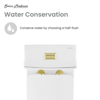 Elongated one-piece toilet, dual flush, brushed gold hardware, 1.1/1.6 gpf.
