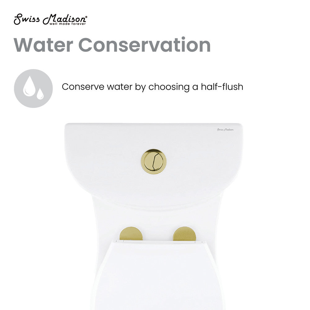 Elongated one-piece toilet with dual flush, white ceramic with brushed gold hardware.