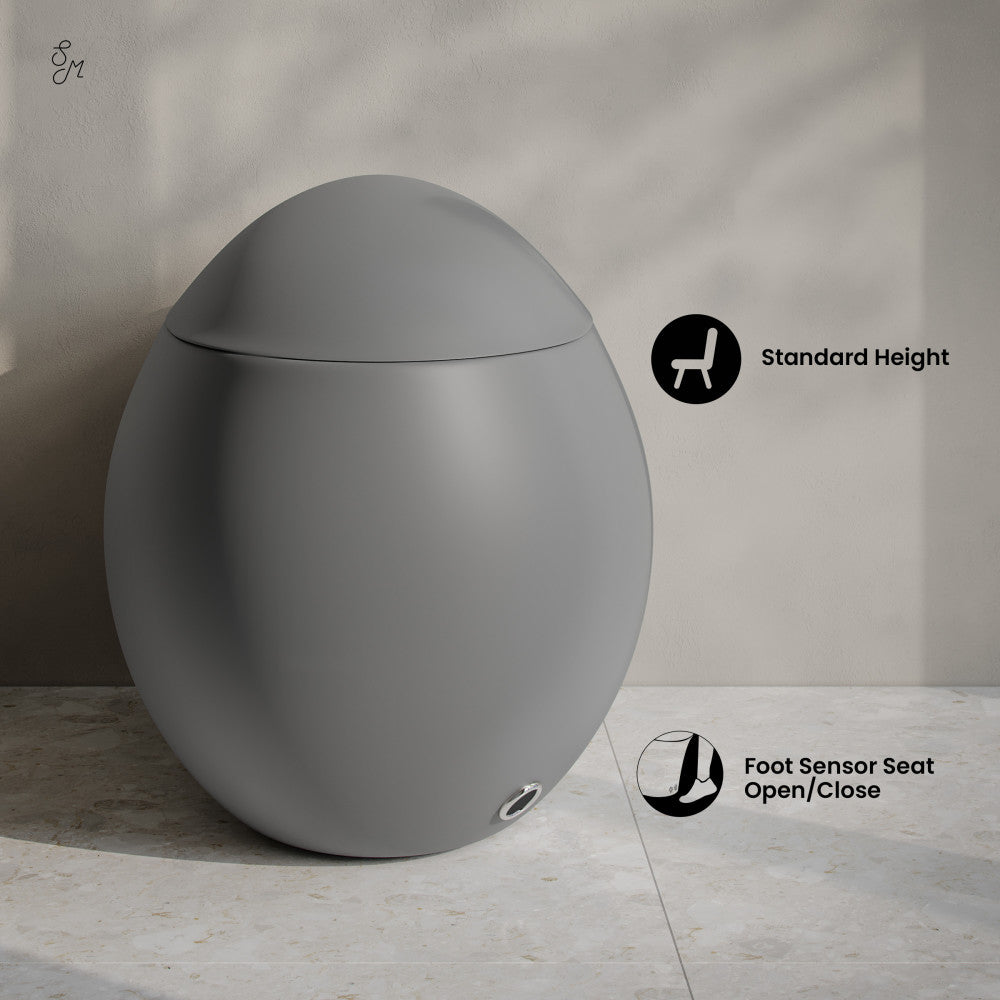 Plaisir Smart One-Piece 1.28 GPF Single Flush Toilet in Matte Gray