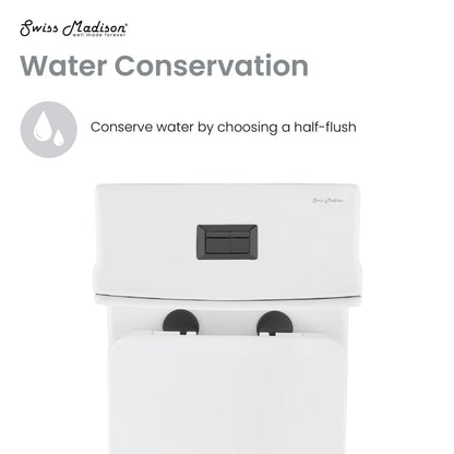 Elongated one-piece toilet, dual flush, black hardware, 1.1/1.6 gallons per flush.