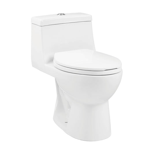 Avallon One Piece Elongated Dual Flush Toilet 1.1/1.6 gpf (6-Pack)