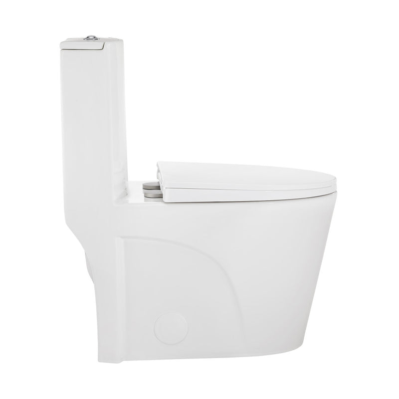 St. Tropez One-Piece Elongated Toilet Vortex Dual-Flush 1.1/1.6 gpf (6 - Pack)