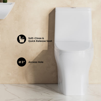 Sublime II One-Piece 10" Rough-in 1.1/1.6 GPF Dual Top Flush Round Compact Toilet in Glossy White