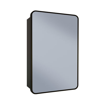 Pierre 20 x 30 Rectangle Recessed/Wall Mount Medicine Cabinet with Mirror in Matte Black