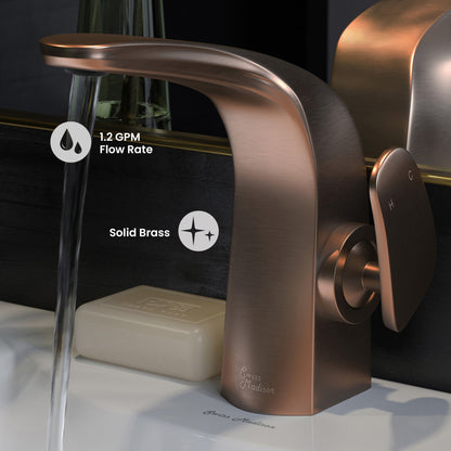 Chateau Single Hole, Single-Handle, Bathroom Faucet in Oil Rubbed Bronze