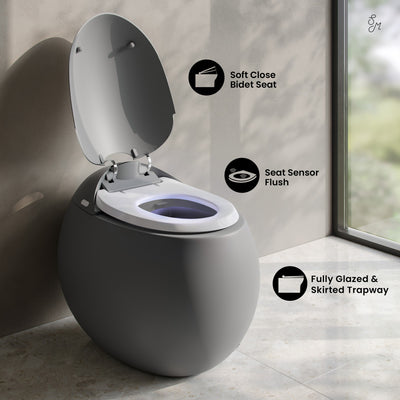 Plaisir Smart One-Piece 1.28 GPF Single Flush Toilet in Matte Gray