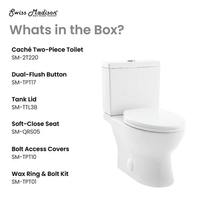 Elongated two-piece toilet with dual-flush button and soft-close seat in white porcelain.