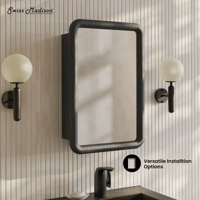 Plaisir 18 x 27 Recessed/Wall Mount Medicine Cabinet with Mirror in Black Oak