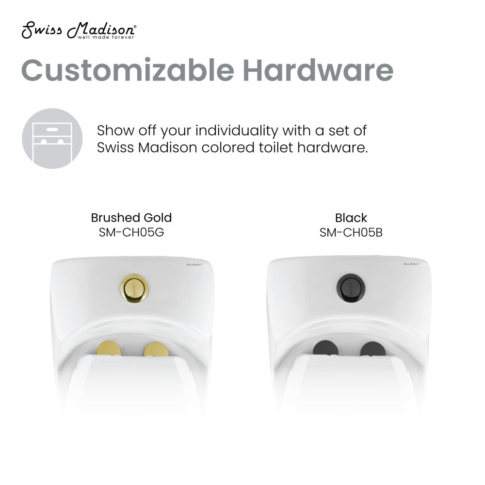 Dual flush one-piece toilet with black hardware, elongated bowl, 1.1/1.6 gpf.
