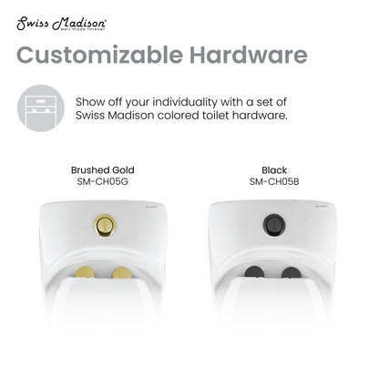 Dual flush one-piece toilet with black hardware, elongated bowl, 1.1/1.6 gpf.