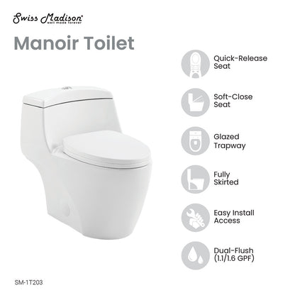 Elongated one-piece toilet with dual-flush, fully skirted trapway, quick-release and soft-close seat.