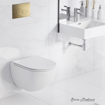 St. Tropez Wall-Hung Toilet Bundle 0.8/1.6 GPF Dual Flush in Glossy White with Brass Flush Plate