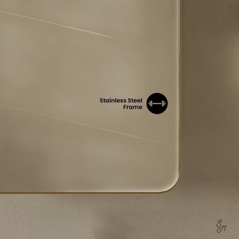 Pierre 20 x 30 Rectangle Recessed/Wall Mount Medicine Cabinet with Mirror in Brushed Gold