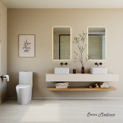 St. Tropez One-Piece 10" Rough-in 1.1/1.6 GPF Dual Top Vortex Flush Elongated Toilet in Matte White