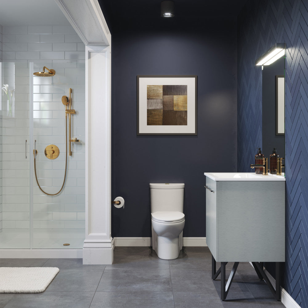 Elongated one-piece toilet with dual flush, white ceramic, brushed gold hardware.