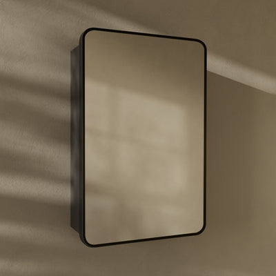 Pierre 20 x 30 Rectangle Recessed/Wall Mount Medicine Cabinet with Mirror in Matte Black