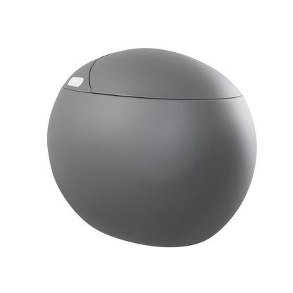 Plaisir Smart One-Piece 1.28 GPF Single Flush Toilet in Matte Gray