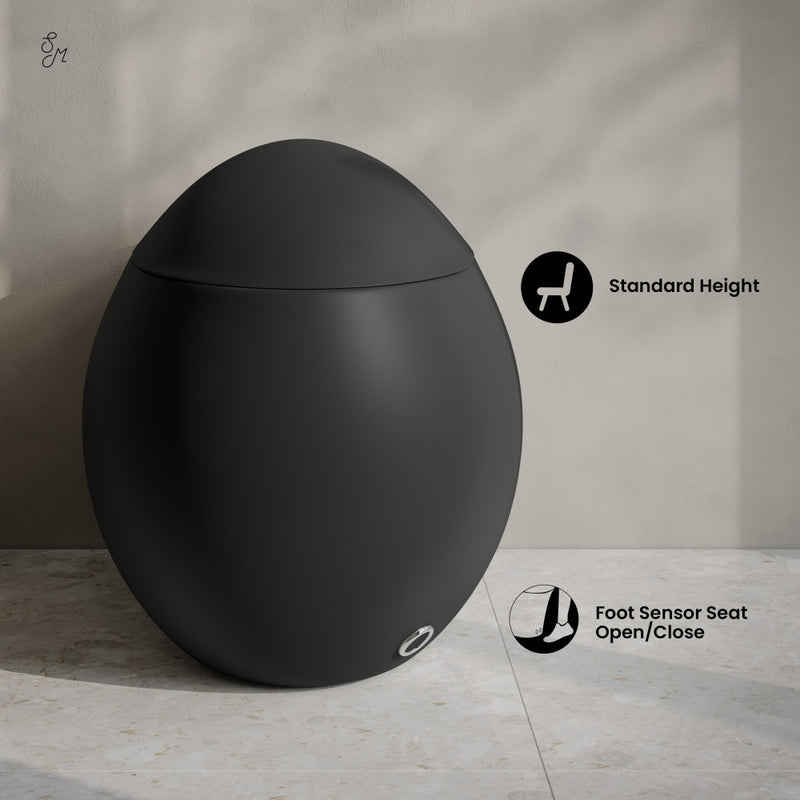 Plaisir Smart One-Piece 1.28 GPF Single Flush Toilet in Matte Black