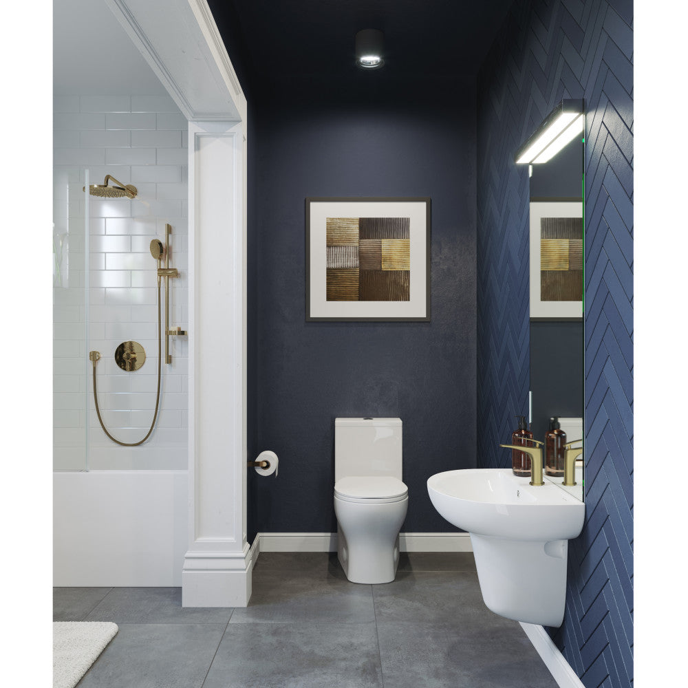 Round two-piece toilet with dual-flush, compact design, white porcelain, soft-close seat.