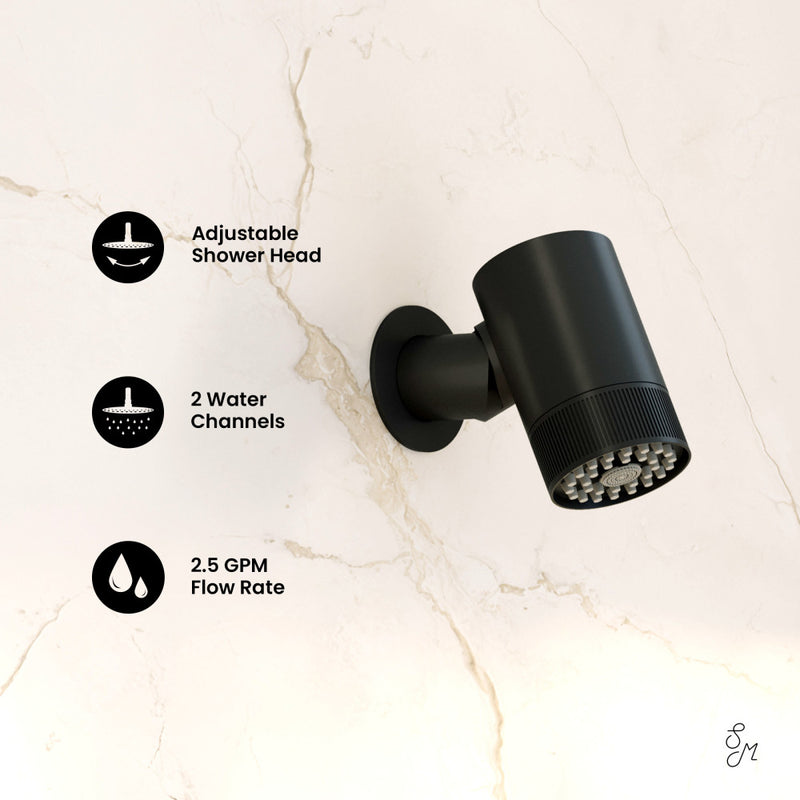 Lumiere 2-Spray Patterns 2.5 GPM Wall Mount Fixed Shower Head in Matte Black