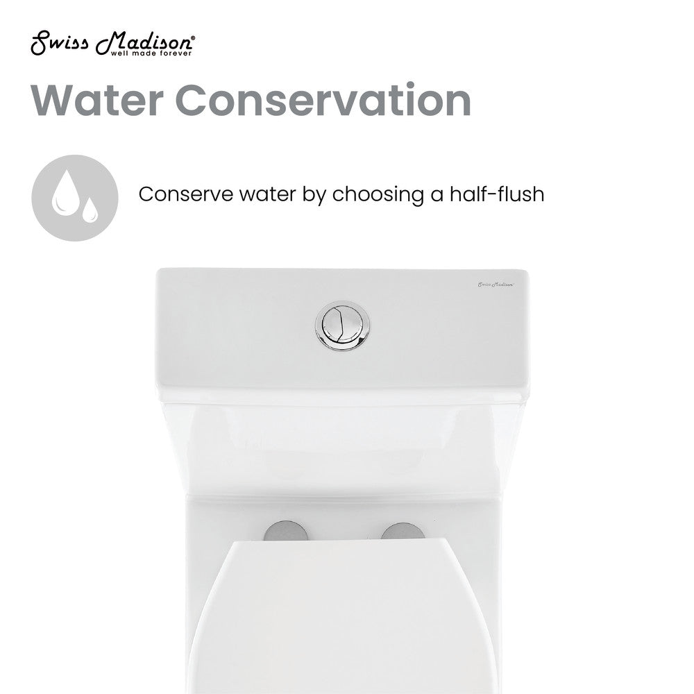 Elongated two-piece toilet with dual-flush system, white ceramic, round chrome flush button.