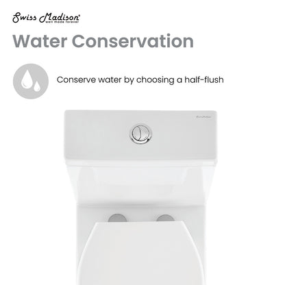 Elongated two-piece toilet with dual-flush system, white ceramic, round chrome flush button.