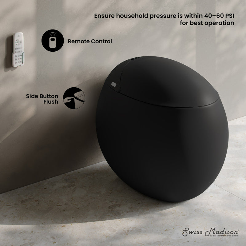 Plaisir Smart One-Piece 1.28 GPF Single Flush Toilet in Matte Black