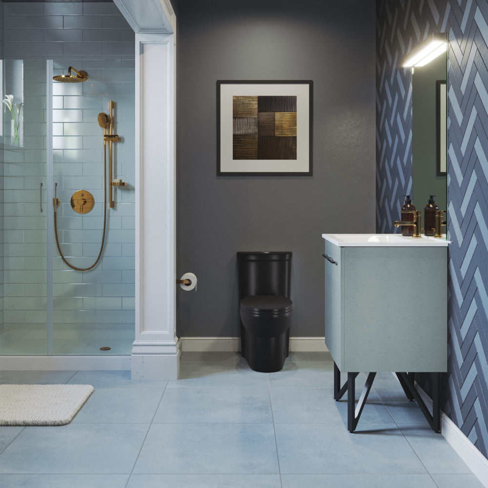 Elongated one-piece toilet in matte black with dual-flush mechanism in modern bathroom setting.