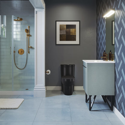 Elongated one-piece toilet in matte black with dual-flush mechanism in modern bathroom setting.