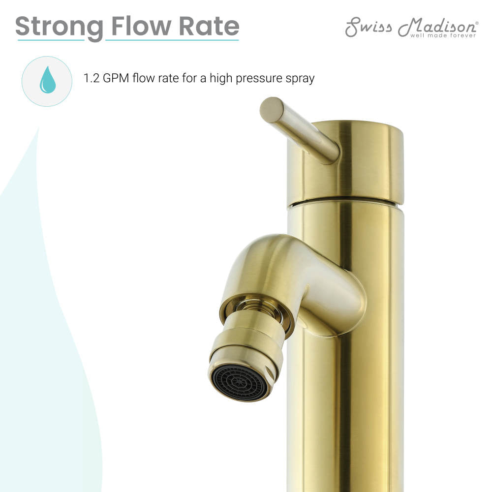 Single-handle bidet faucet in brushed gold with angled spout and lever handle.