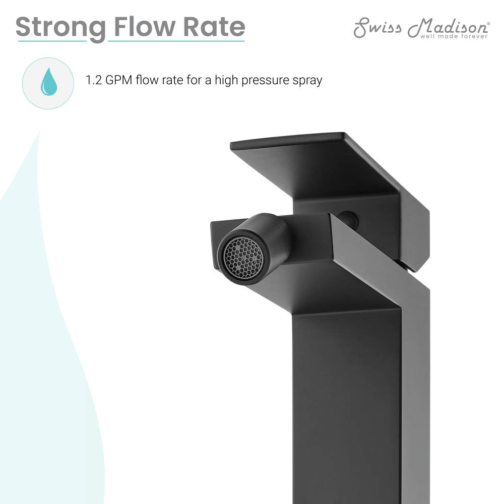 Single-handle bidet faucet in matte black, modern angular design, high-pressure spray nozzle.