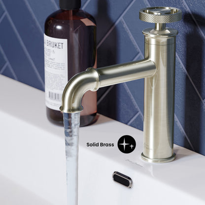 Avallon Single Hole, Single-Handle Wheel, Bathroom Faucet in Brushed Nickel