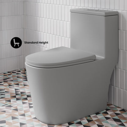 Dreux One Piece Elongated Dual Flush Toilet in Matte Gray 0.95/1.26 GPF