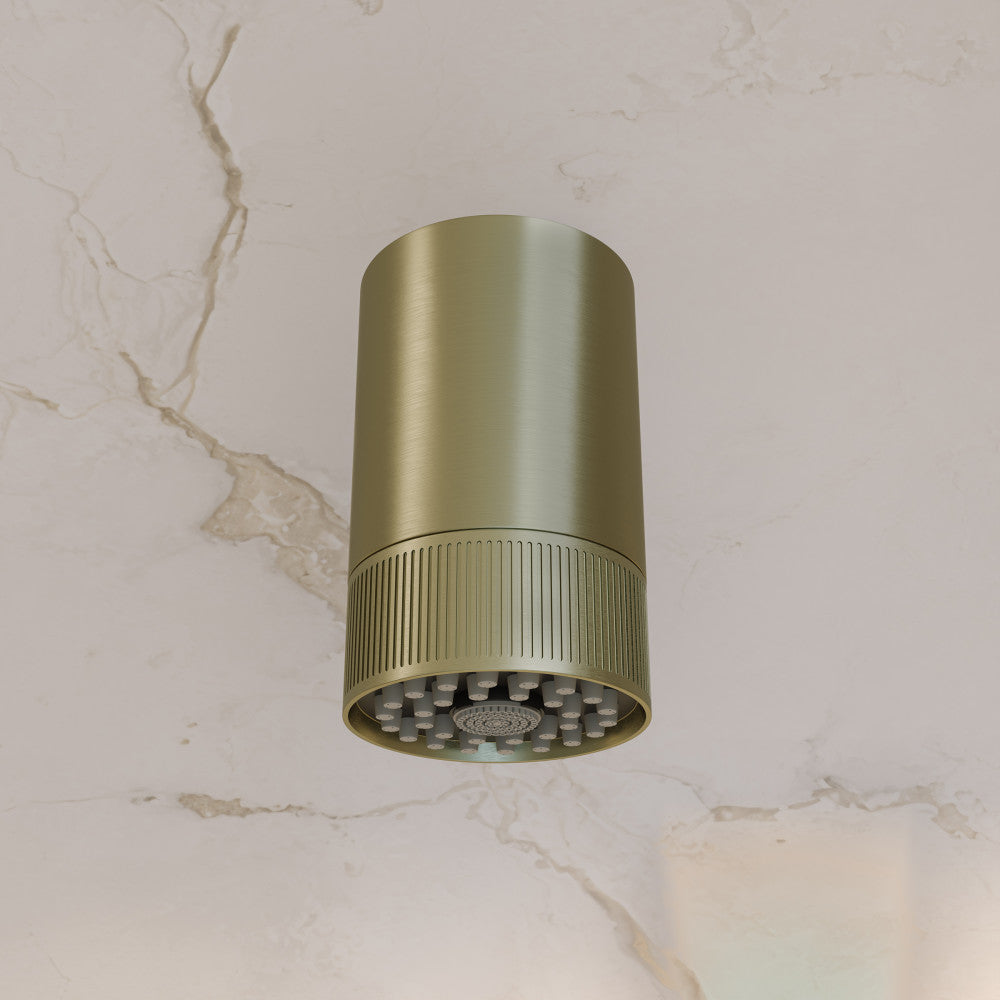 Lumiere 2-Spray Patterns 2.5 GPM Wall Mount Fixed Shower Head in Brushed Gold