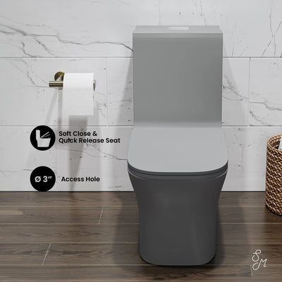 Concorde One Piece Square Toilet Dual Flush in Matte Gray 1.1/1.6 gpf