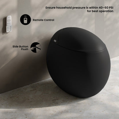 Plaisir Smart One-Piece 1.28 GPF Single Flush Toilet in Matte Black