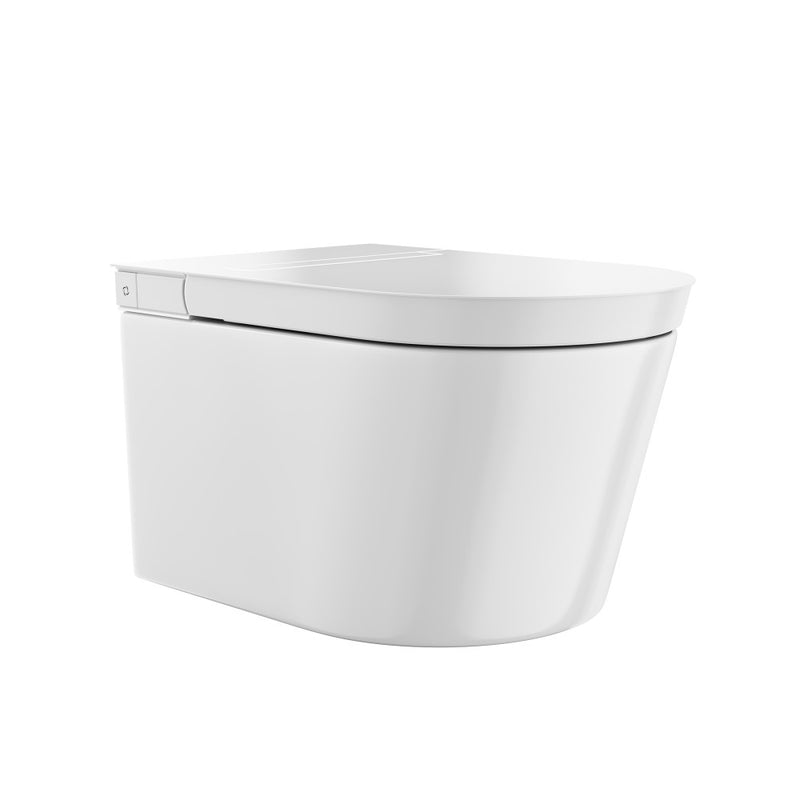 Hugo H Wall-Hung Toilet in Glossy White with Supporting Frame