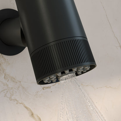Lumiere 2-Spray Patterns 2.5 GPM Wall Mount Fixed Shower Head in Matte Black