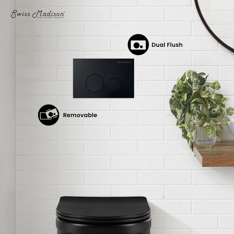 Wall Mount Dual Flush Actuator plate in Matte Black