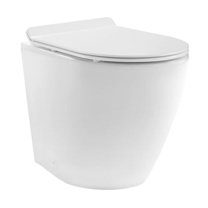 St. Tropez Back-to-Wall Toilet Bundle 0.8/1.6 GPF Dual Flush in Glossy White with Brass Flush Plate