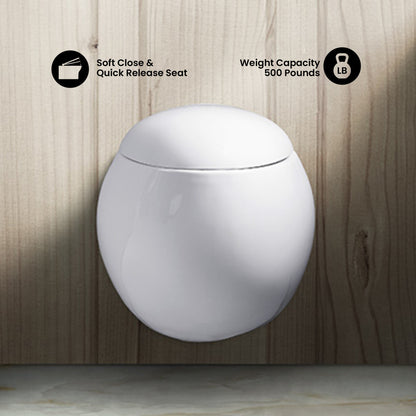 Plaisir Wall-Hung Elongated Toilet Bowl